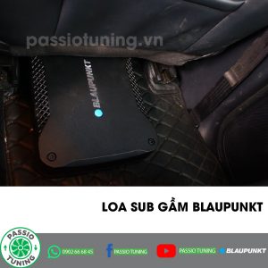 loa-sub-gam-Blaupunkt