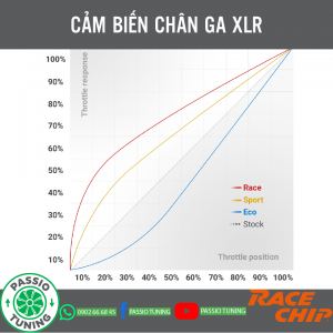 cam-bien-chan-ga-racechip-xlr-3